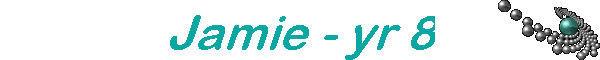 Jamie - yr 8