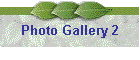 Photo Gallery 2
