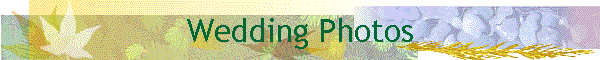 Wedding Photos